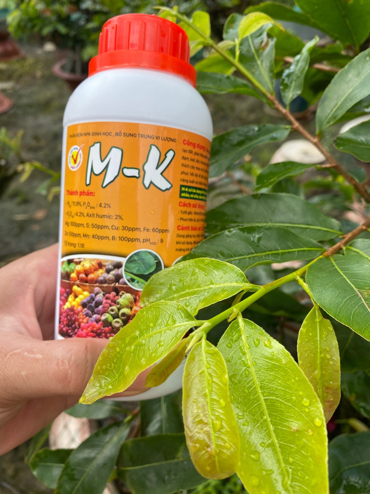 Phân bón mk giúp cây đâm chồi đẻ nhánh ,xanh lá v.vv