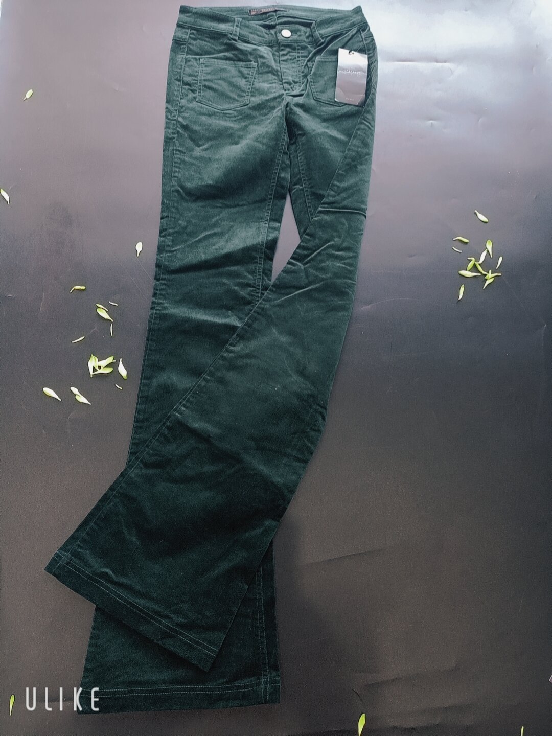 Quần jeans nhung ống loe hiệu zara
