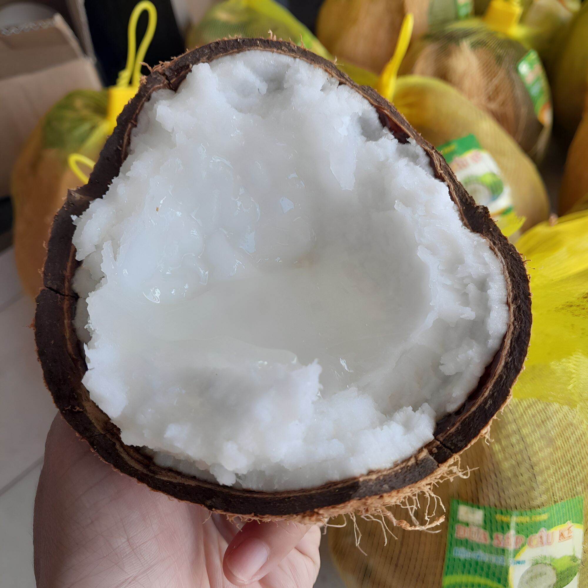Dừa Sáp Cầu Kè Loại 1 Đặc Biệt (Nhiều Size)