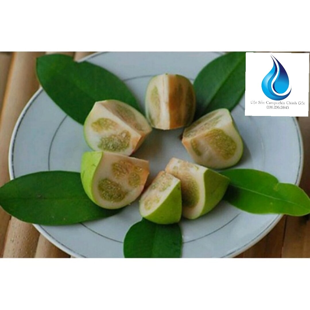 Trái Bần Miền Tây ( Khách xa đặt vui lòng ib trước )
