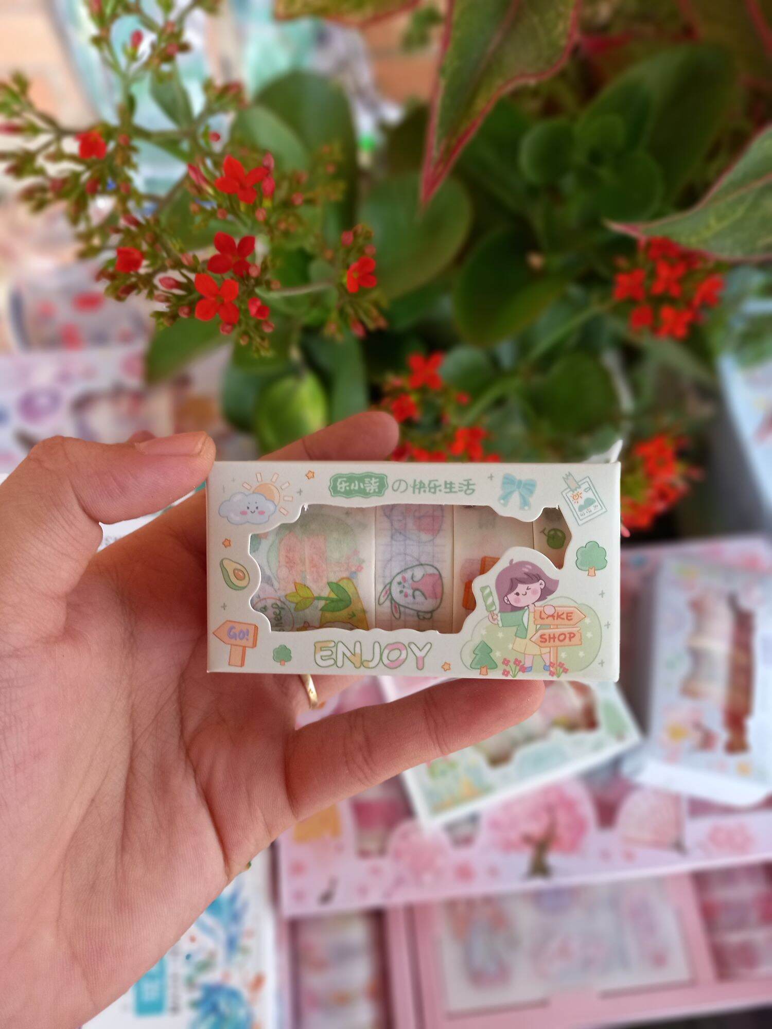 Washi cuộn ( hộp 5 cuộn đủ kích thước )