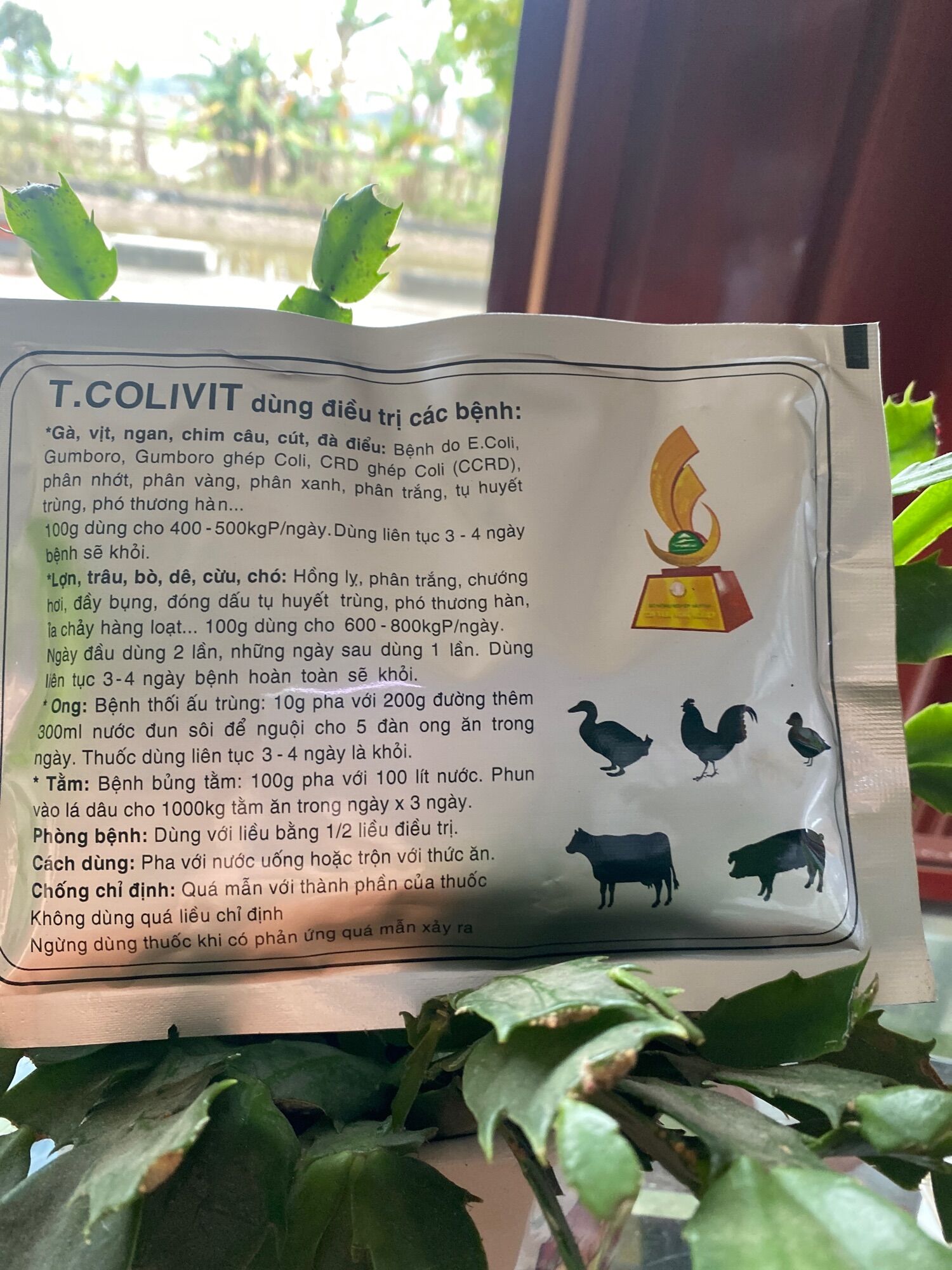 100g TCOLIVIT - ECOLI - NHIỄM KHUẨN KHÁC