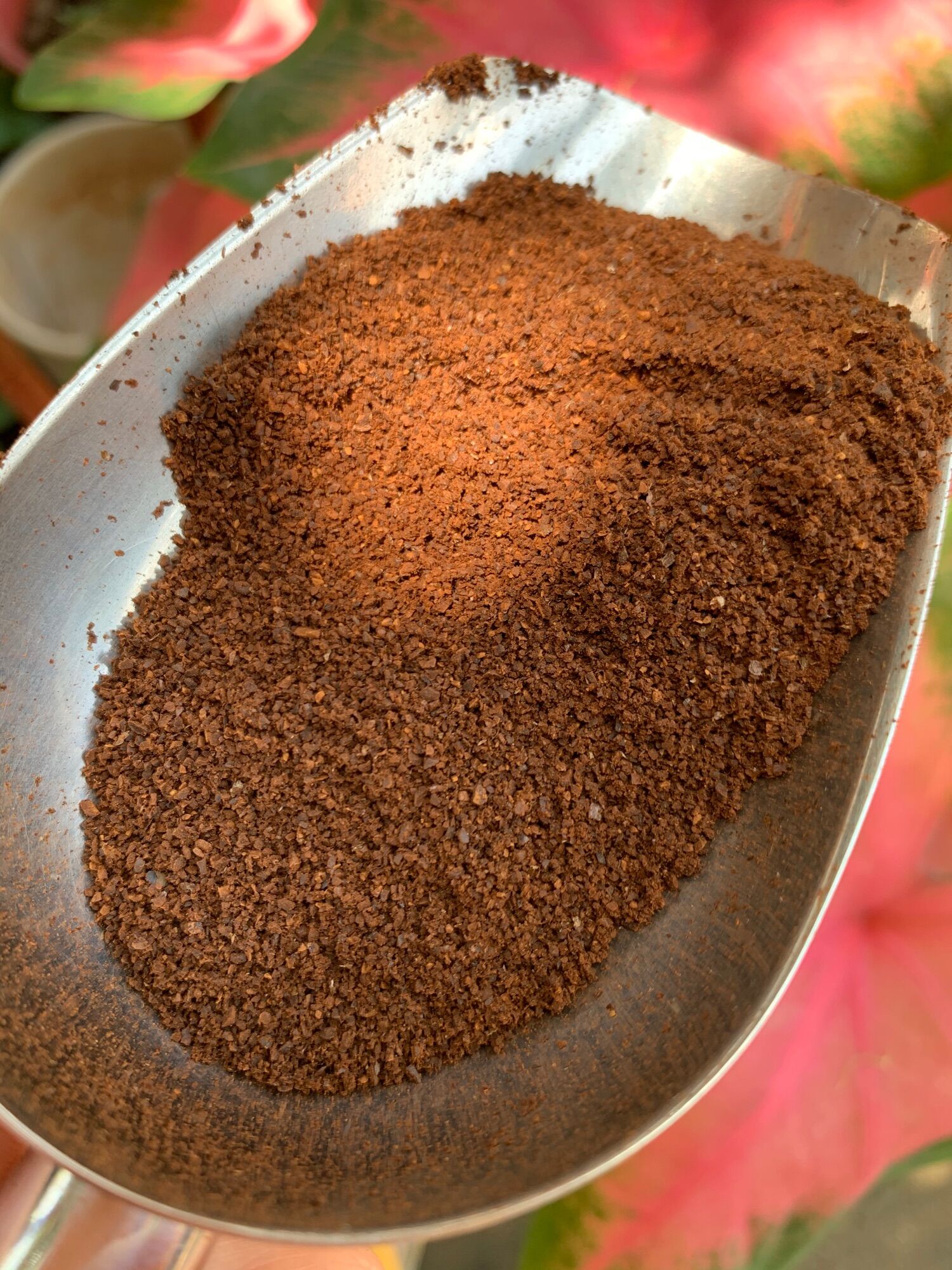 500g_ Cà phê nguyên chất Culi robusta