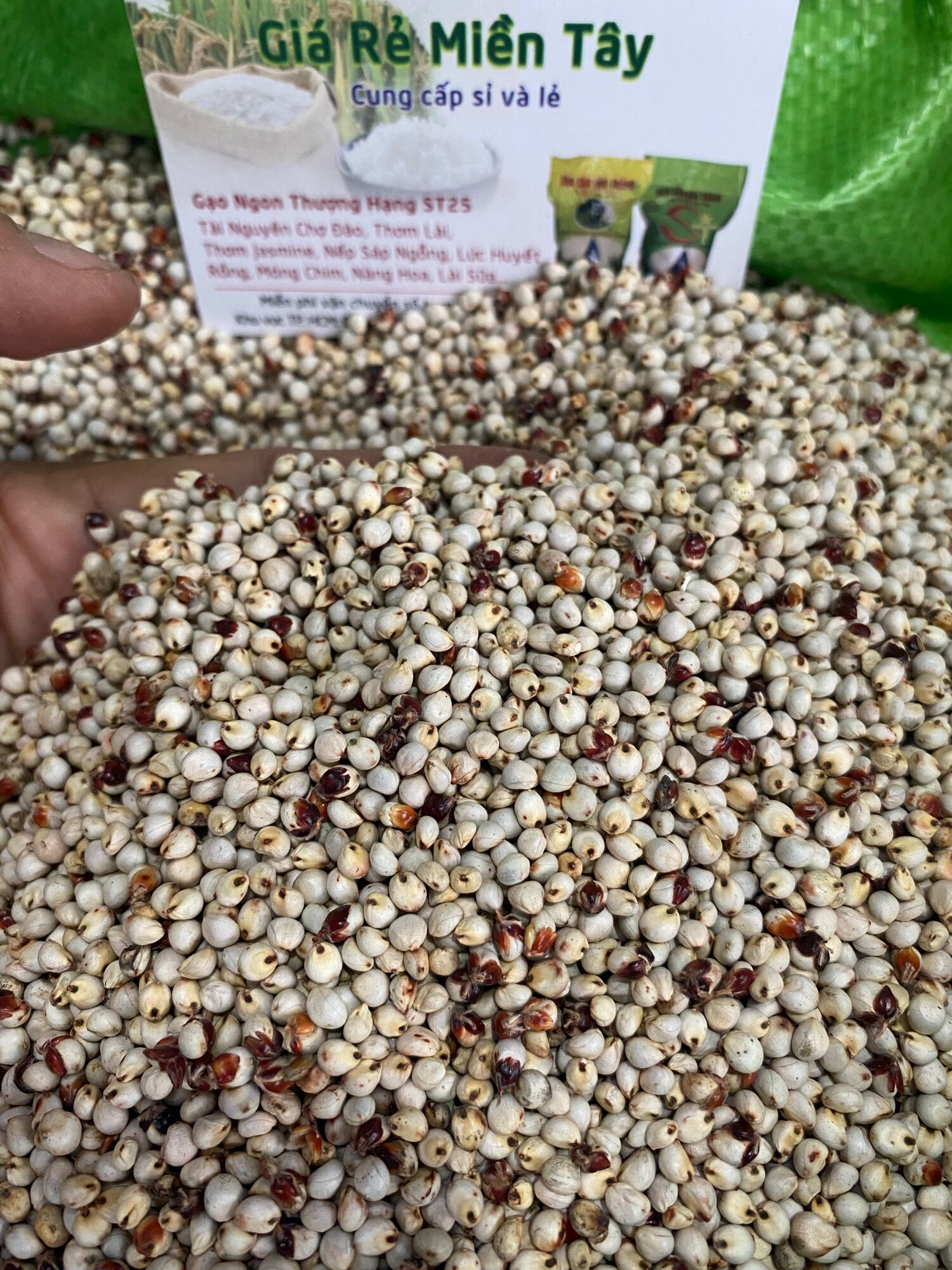 1kg hạt bo bo trắng dành cho gà, chim kiểng , hamster …