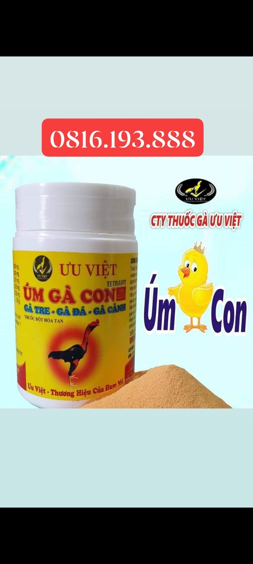 Úm gà con ưu việt