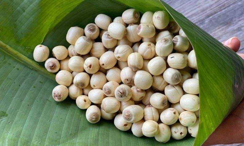 Hạt sen bóc vỏ tách tâm