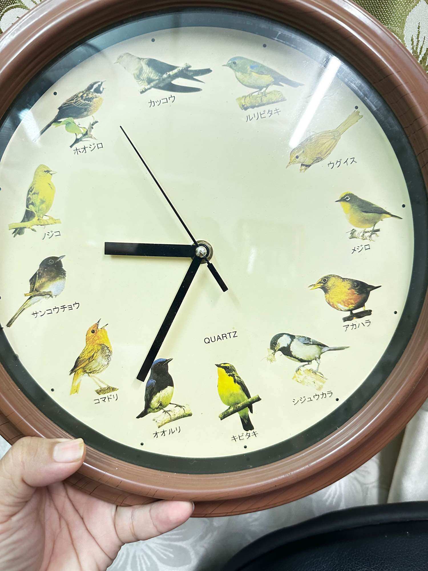Đồng hồ treo tường chim hót nội địa nhật