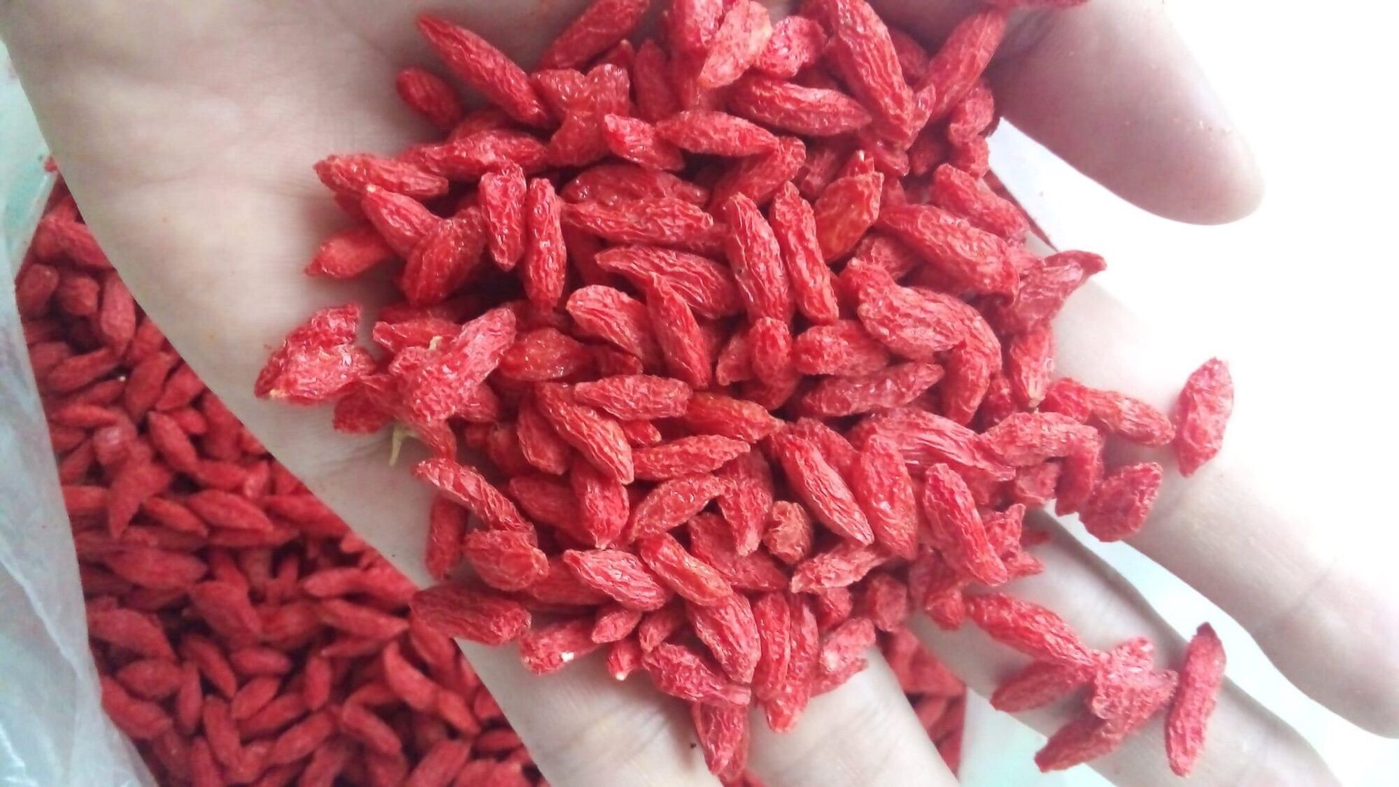 Câu kỷ tử/ kỳ tử khô size vừa ninh hạ 100g