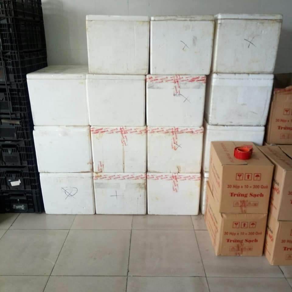10 trứng vịt bắc thảo loại đặc biệt