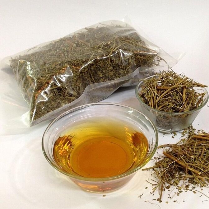 1kg diệp hạ châu mát gan, giải độc gan, trà diệp hạ châu khô, sạch hạ máu mỡ