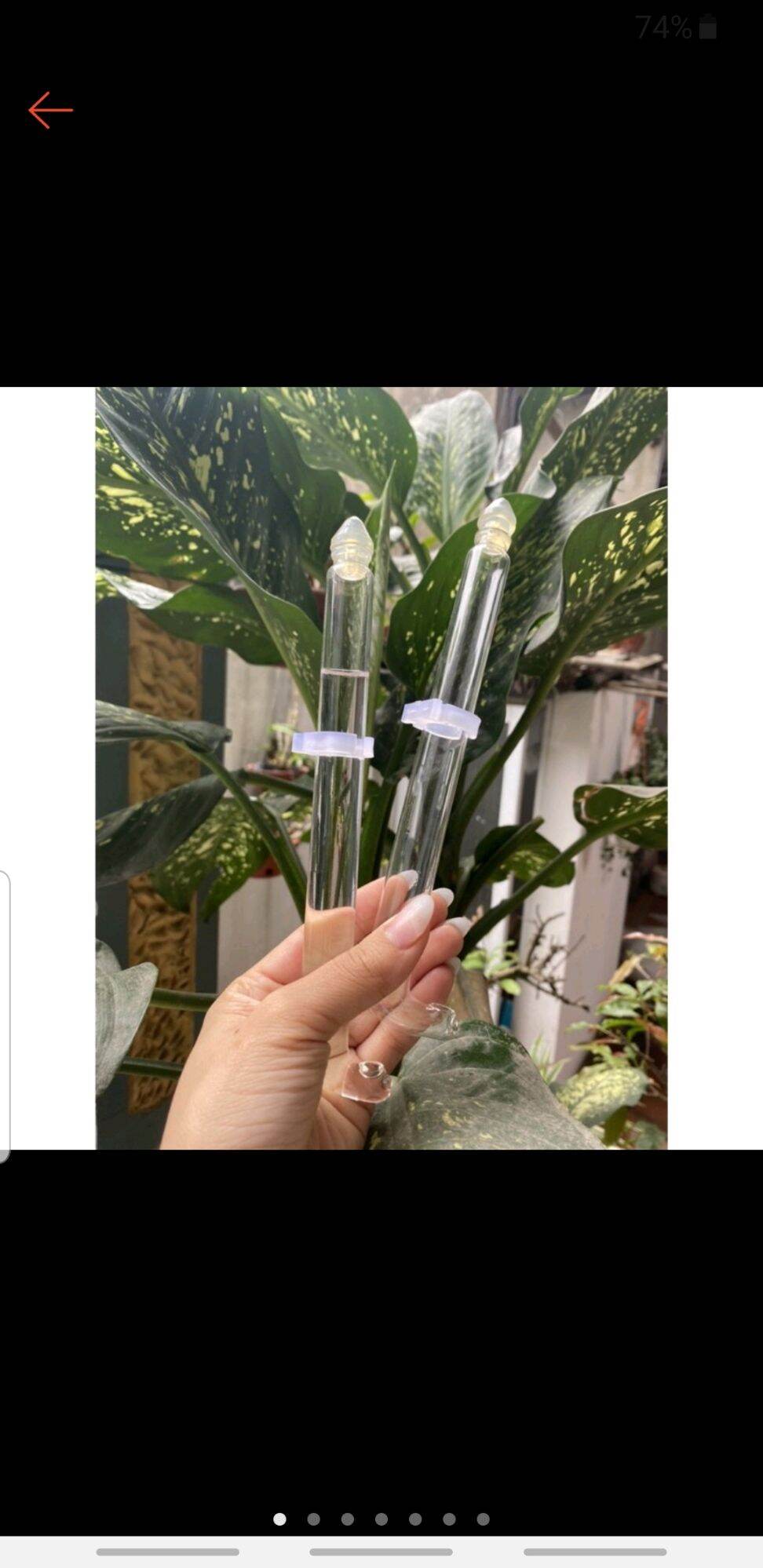cóng thủy tinh hút nước cho chim