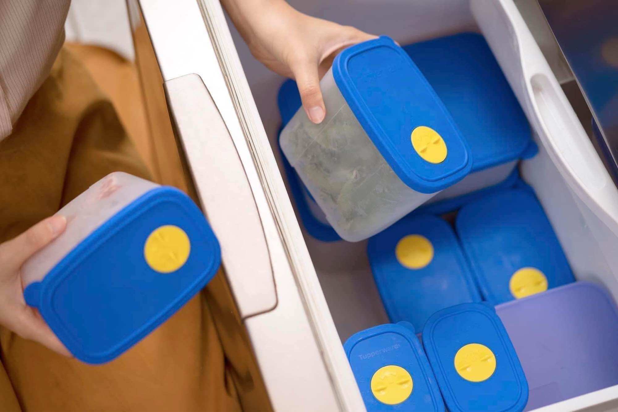 Set 4 hộp trữ đông 820ml Tupperware