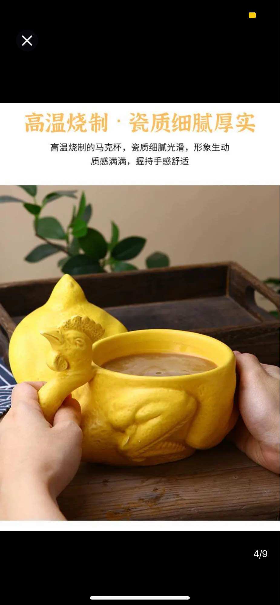 Cốc nước hình con gà luộc độc đáo