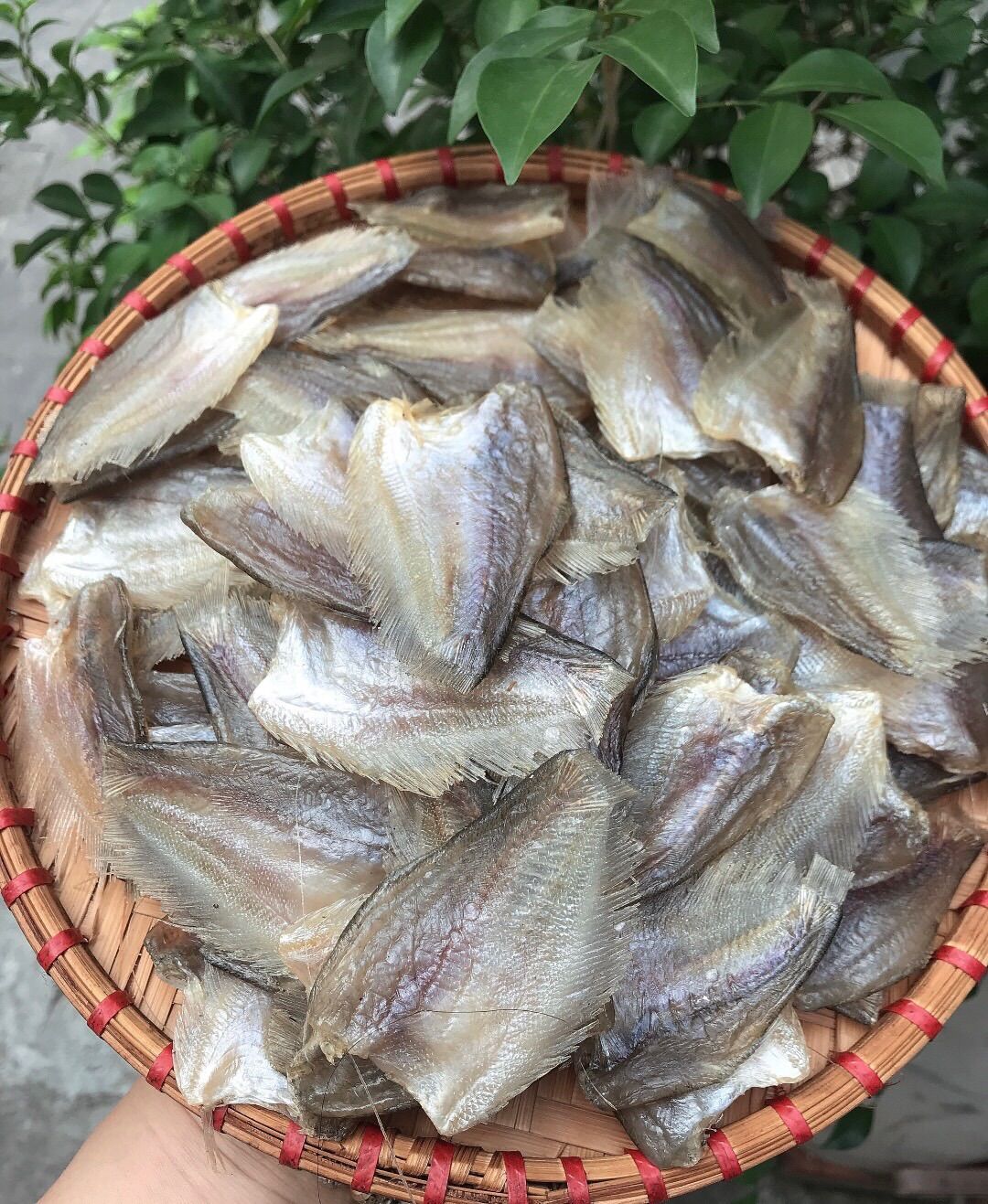 Khô cá sặc đồng đặc sản miền tây