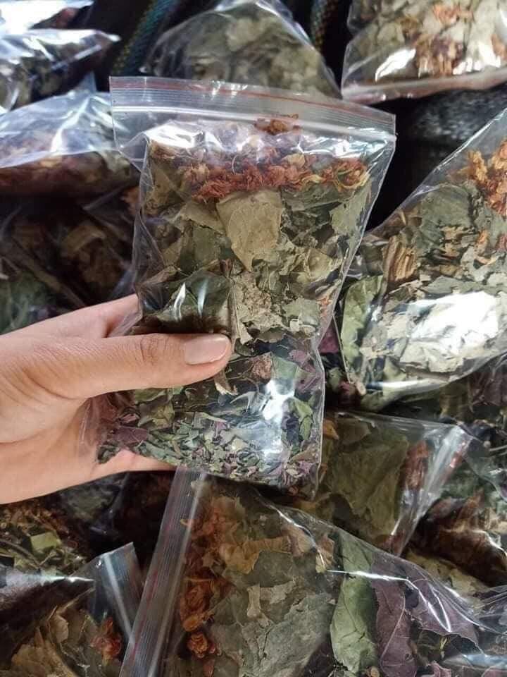 Lá nam giảm cân cô gái núi