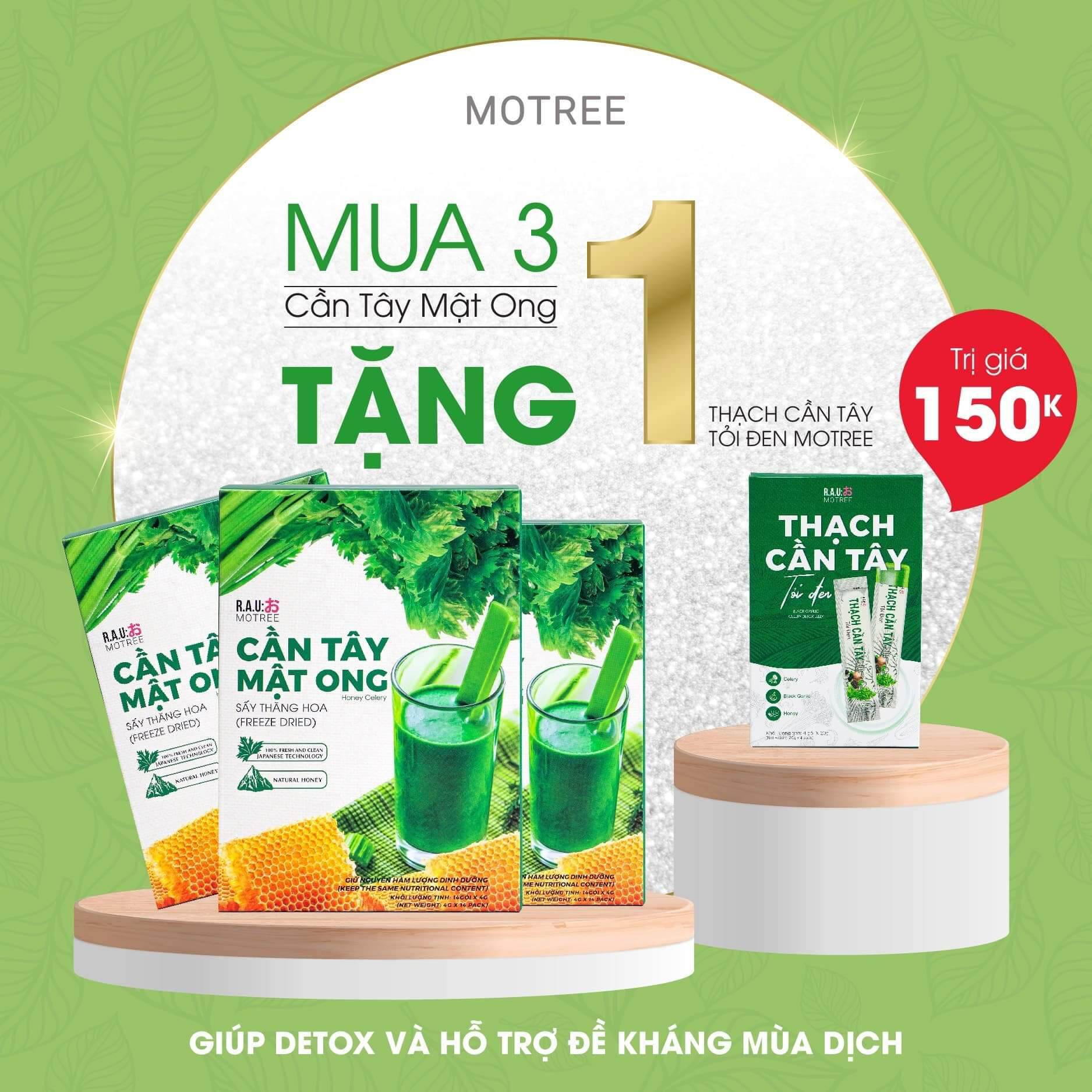 Cần Tây Mật Ong Motree ( hộp 14 gói )