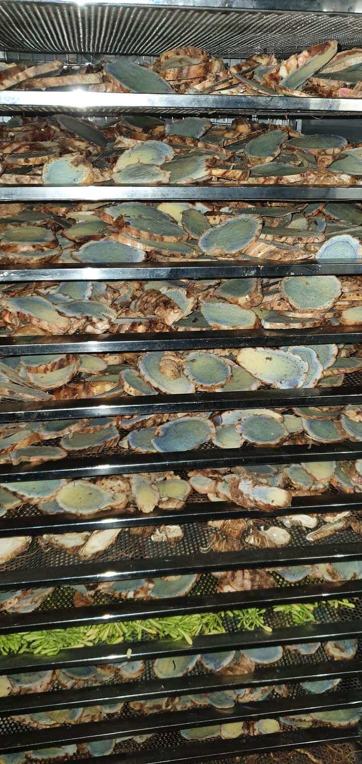 1 kg nghệ đen lát phơi khô hàng sạch chuẩn
