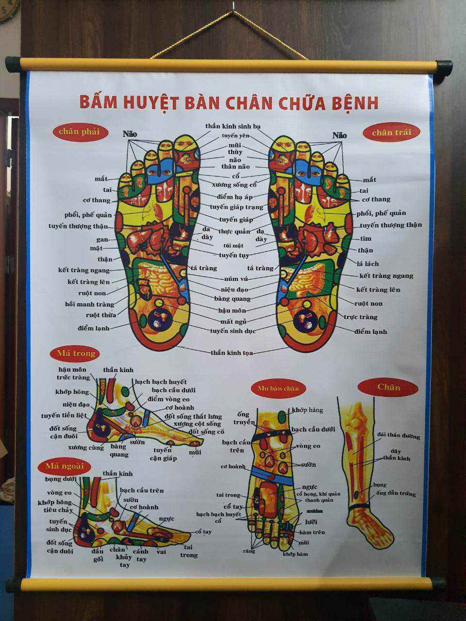 búa gỗ gõ huyệt chân