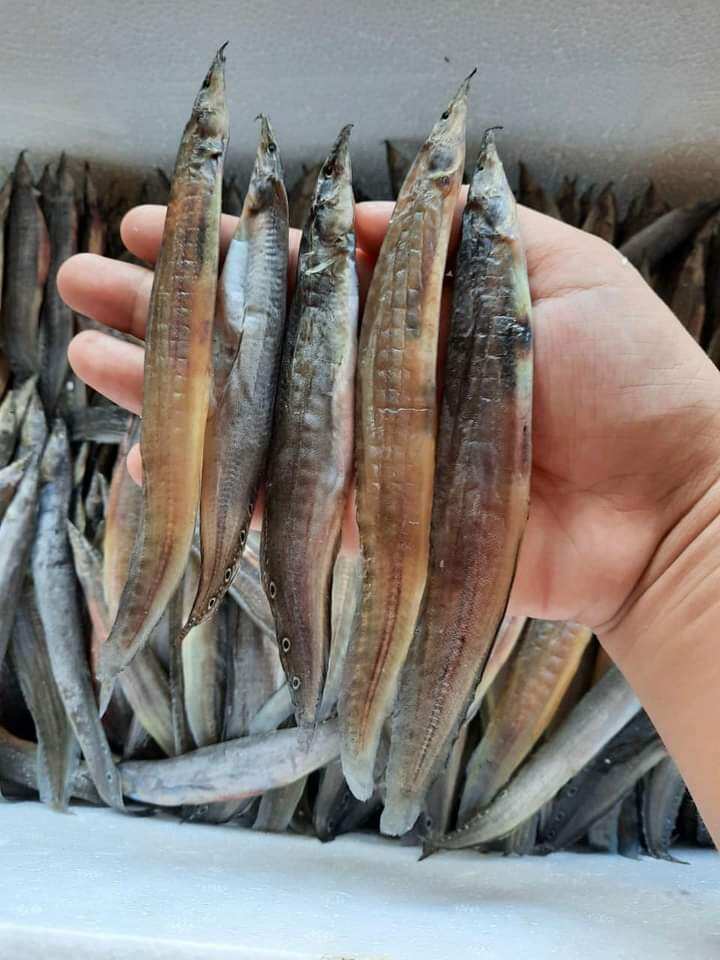 500g khô cá chạch đồng