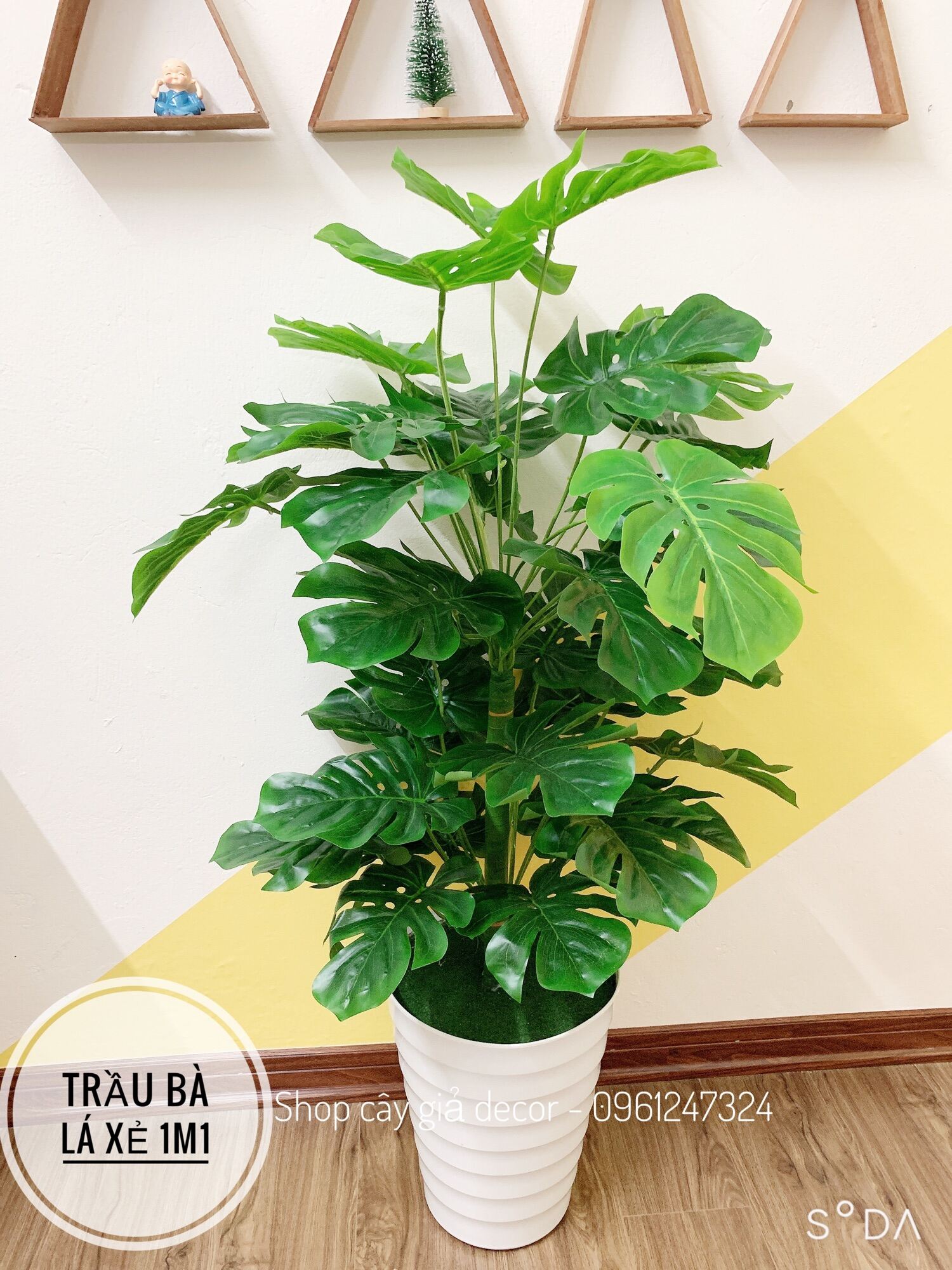 Cây trầu bà lá xẻ kèm chậu cao 1m1 - cây giả