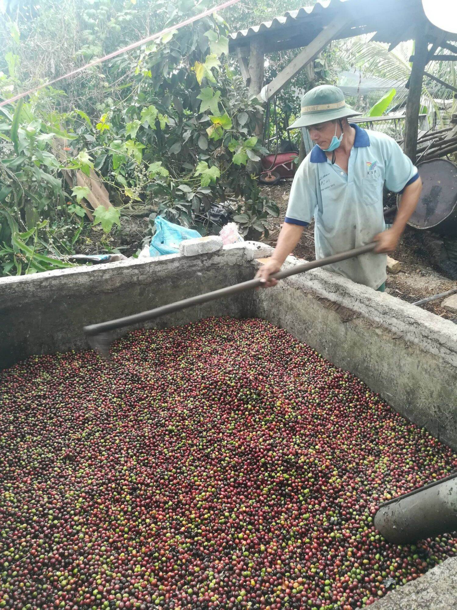 2 túi 500gr cà phê nguyên chất nhà làm