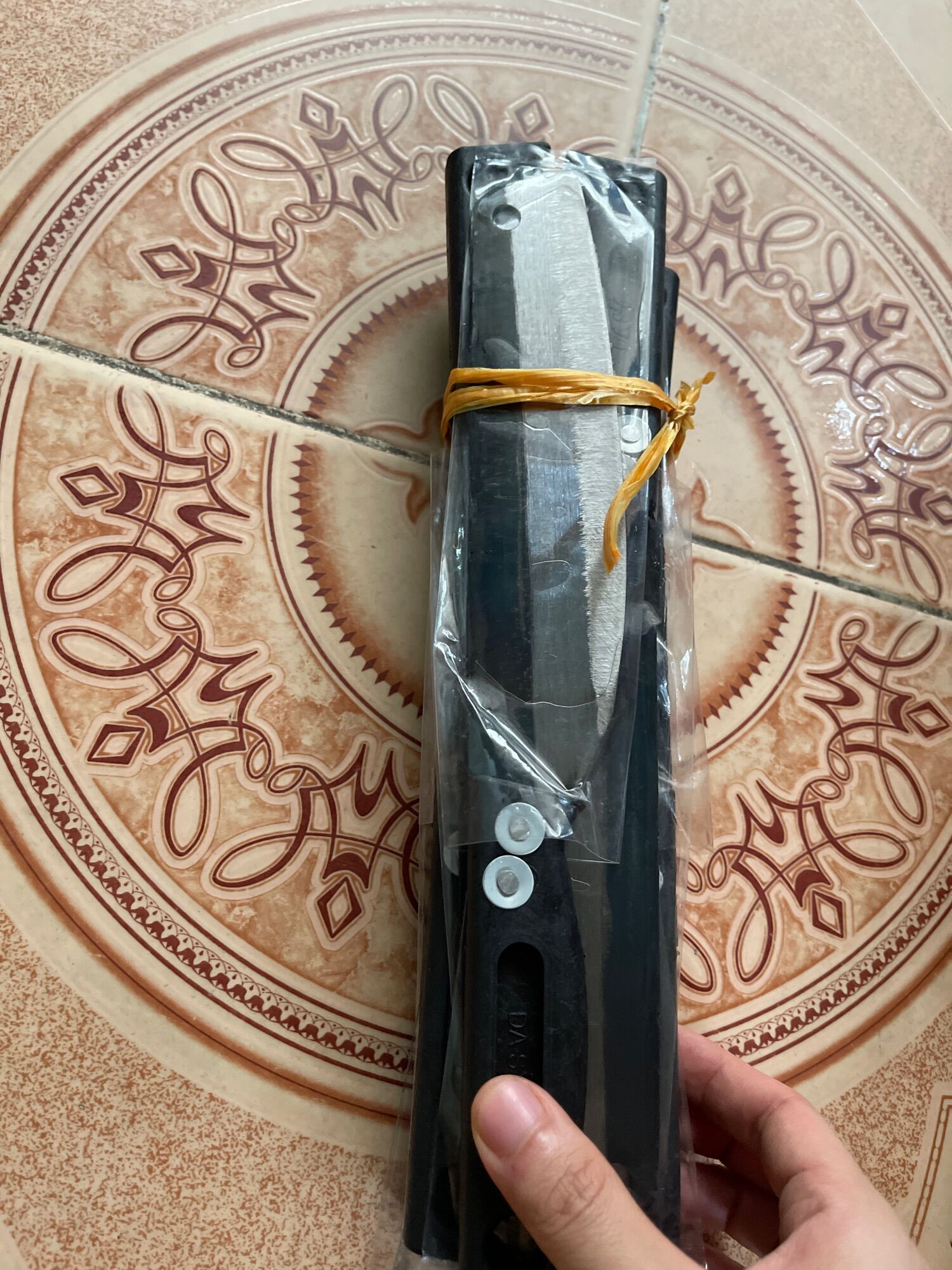 Dao thái Đa Sỹ
