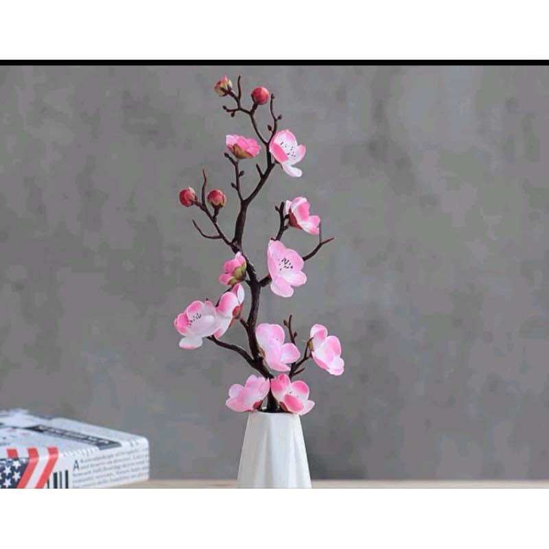 CÀNH ĐÀO TRANG TRÍ, đào cổ