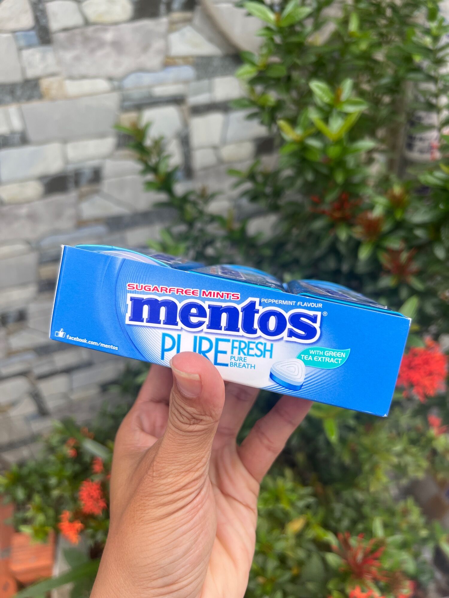 Kẹo ngậm mentos 6 lọ×35g