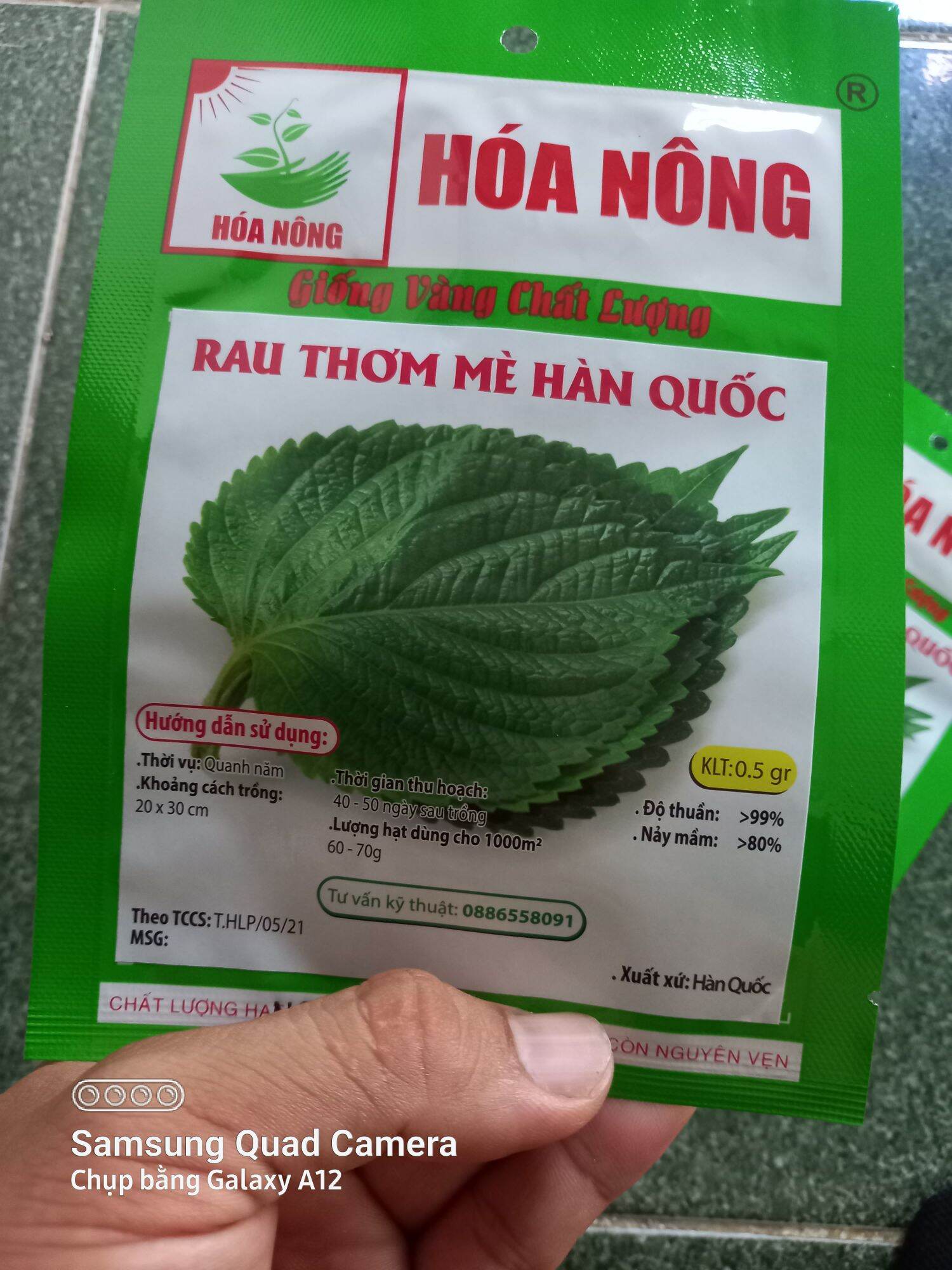 Hạt  mè hàn quốc