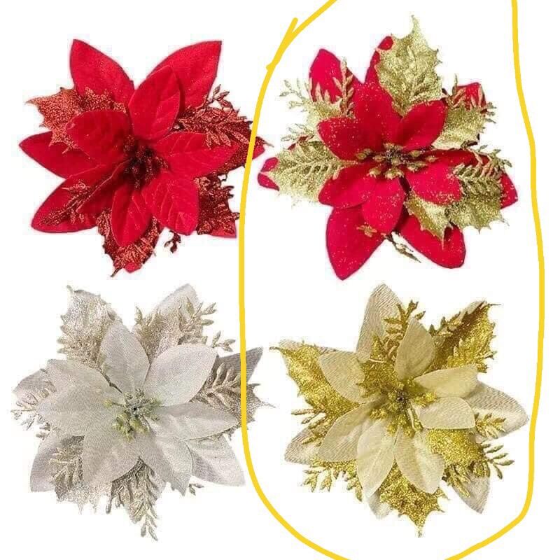 Combo hoa trạng nguyên màu ngẫu nhiên