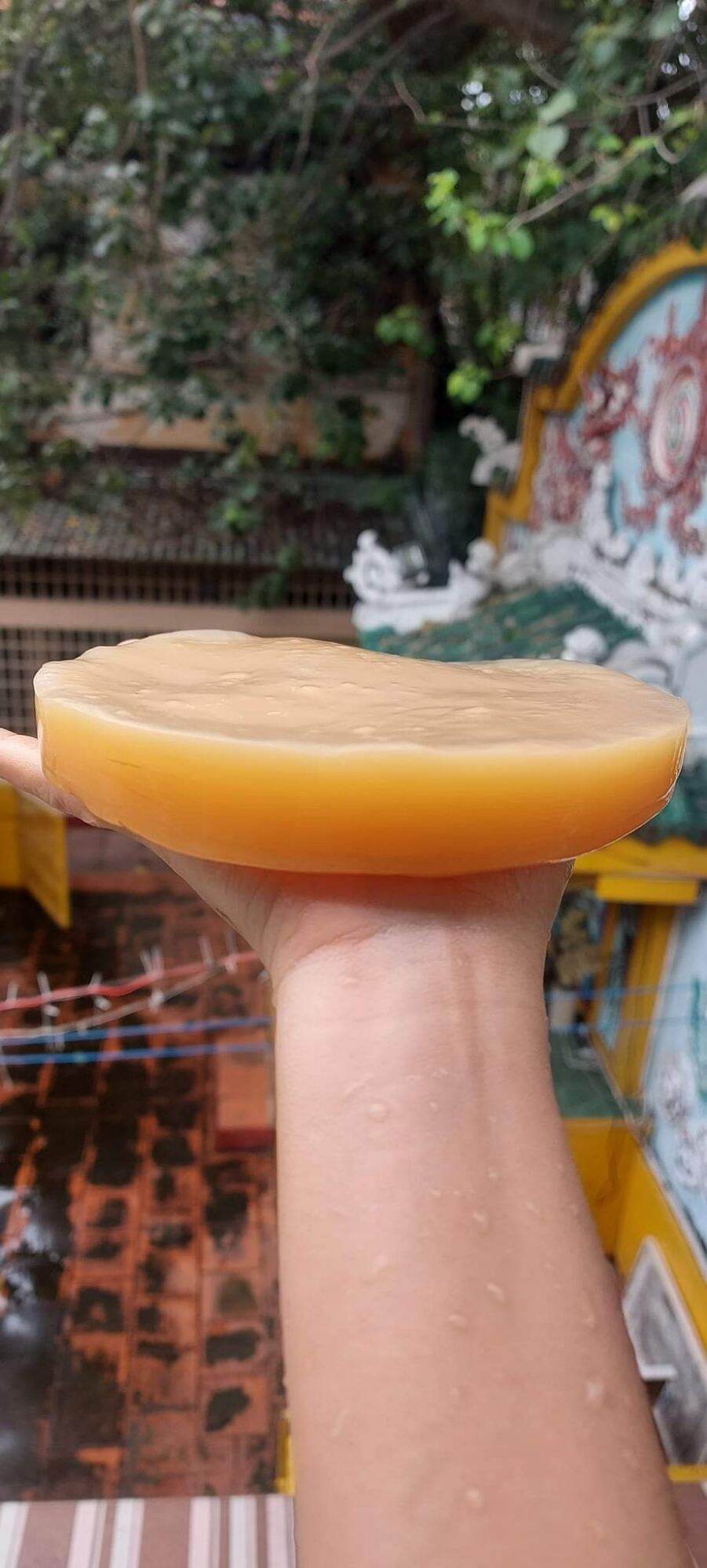 Scoby + Nước Mồi Làm Trà Kombucha combo 2 Con Nấm ( Kèm Cẩm Năng Hướng Dẫn Nuôi Chi Tiết Và Bảo Hành Nuôi Thành Công)