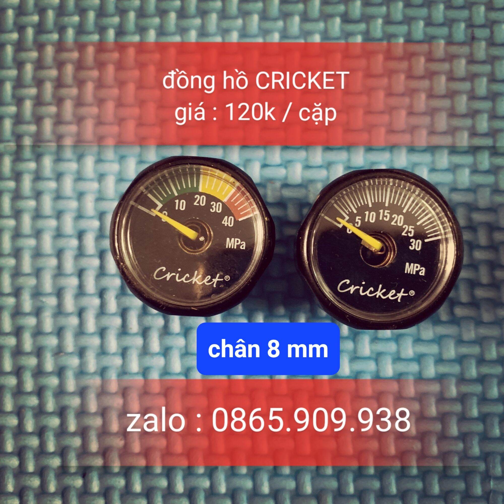 Đồng hồ cricket