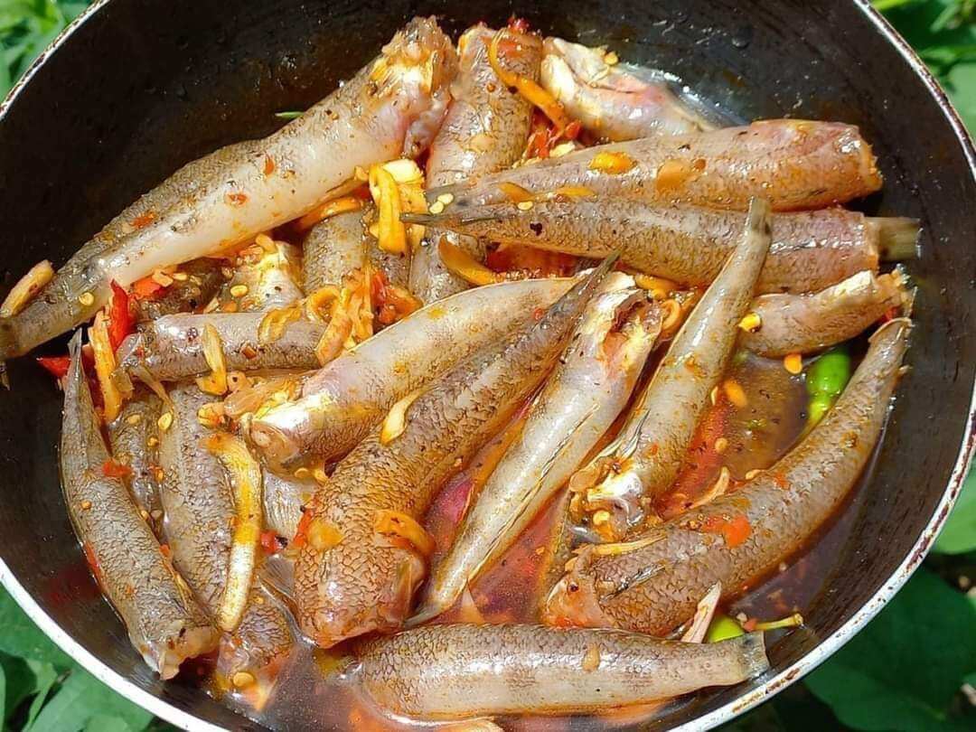 CÁ BỐNG BIỂN ƯỚP SẴN 1kg