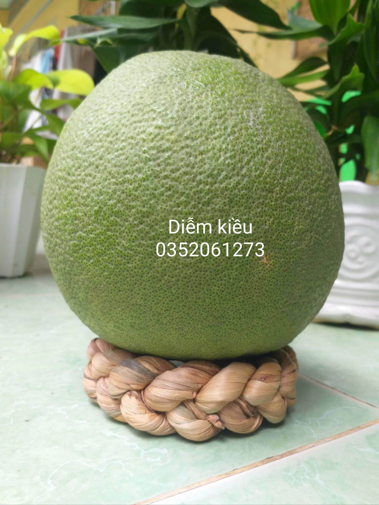 Đế chưng dừa