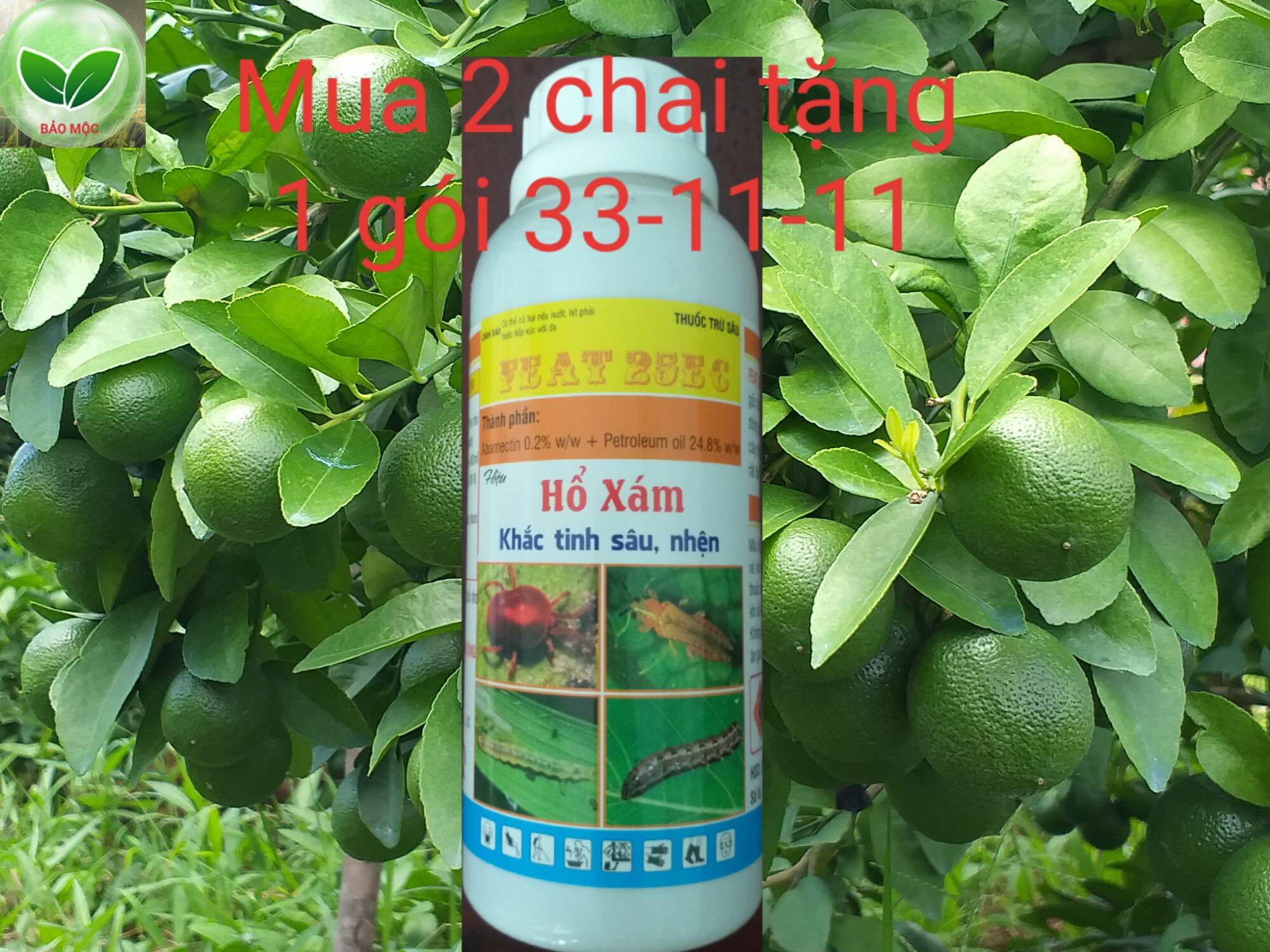 Trừ nhện đỏ - nhện bạc - sâu lá - bọ trĩ