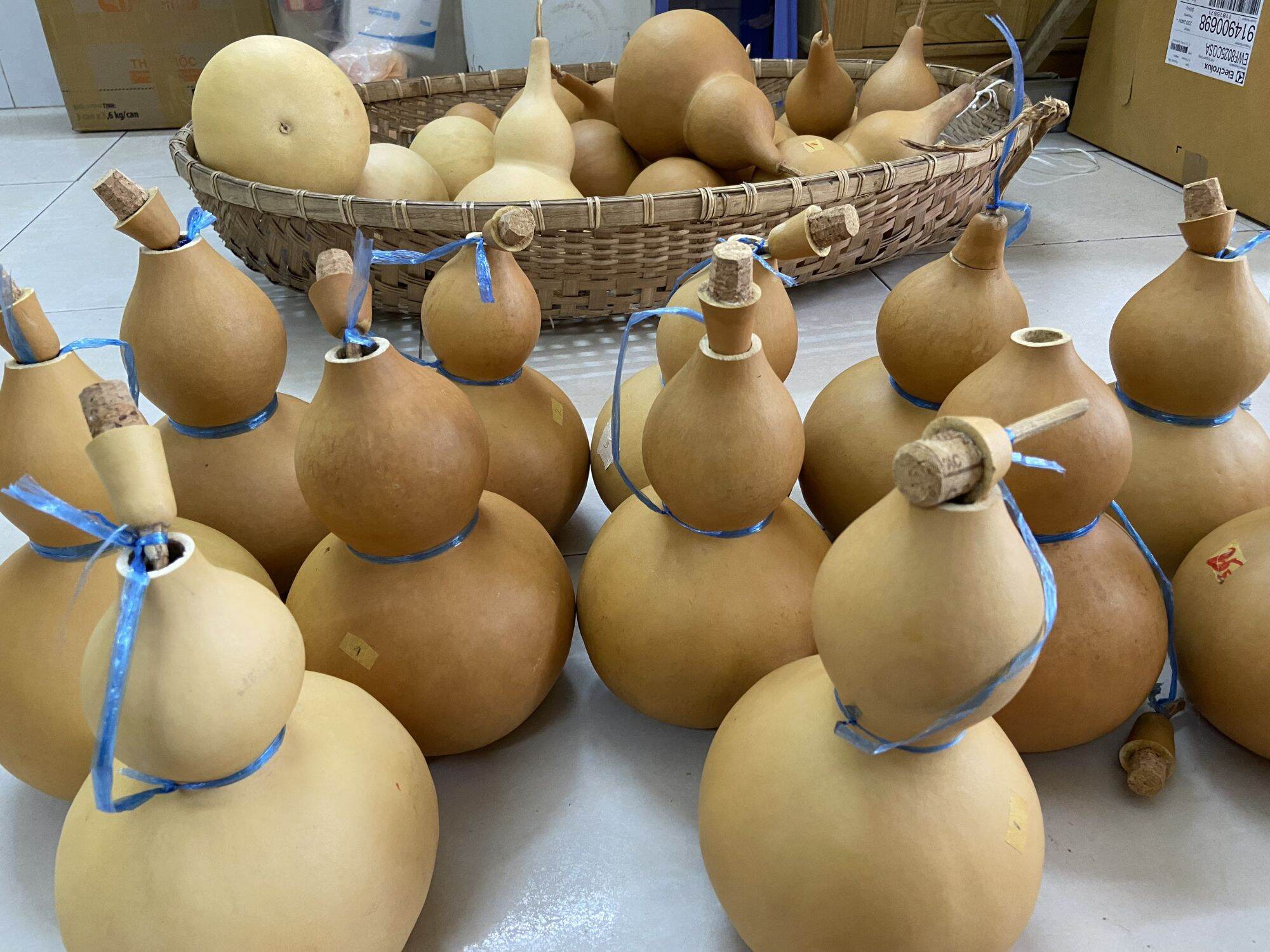 BẦU HỒ LÔ ĐỰNG NƯỚC SIZE LỚN