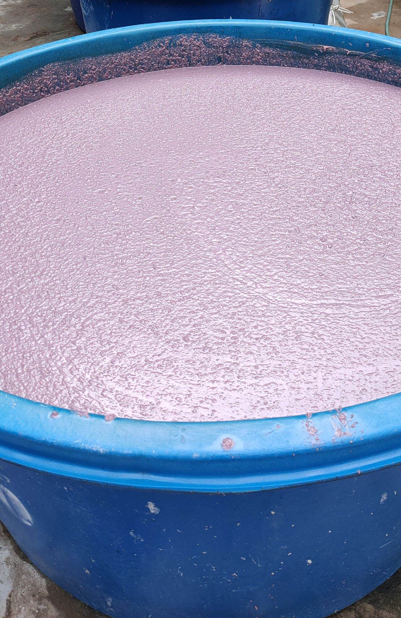 Mắm tôm Ba Làng 600gr