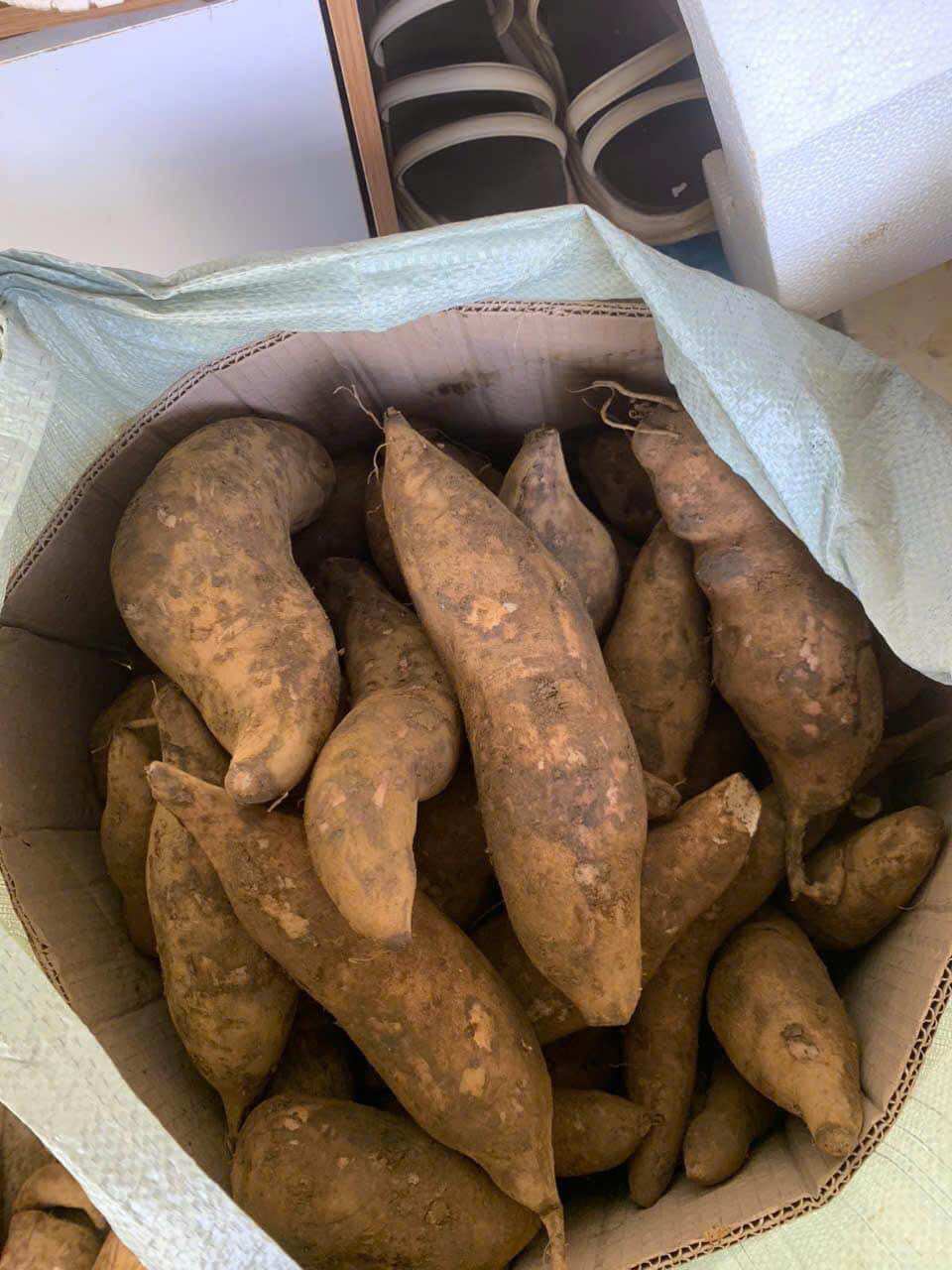 Sét 5kg Khoai Sâm đất Lào Cai (size to 4-5củ/1kg)