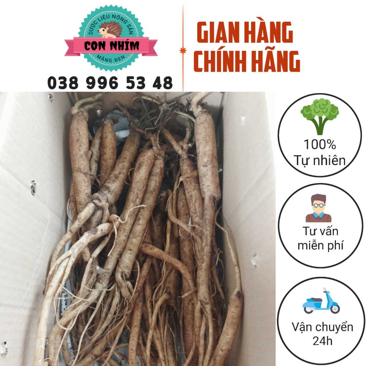 Sâm dây Ngọc Linh tươi shop dược liệu con nhím loại 6-8 củ 1 kg