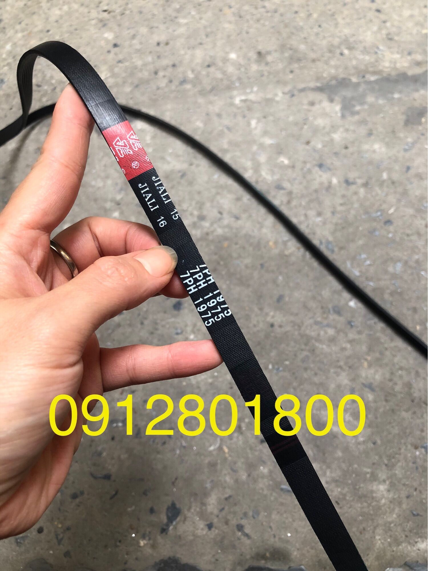 Dây curoa máy sấy Electrolux 7PH 1975