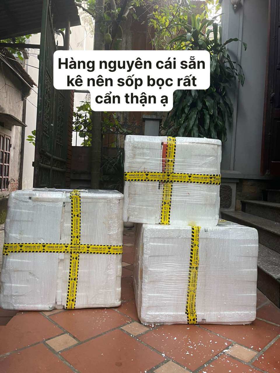 Tủ đầu giường gỗ-Táp đầu giường gỗ sồi 2 ngăn kéo-Kệ đầu giường gỗ tự nhiên
