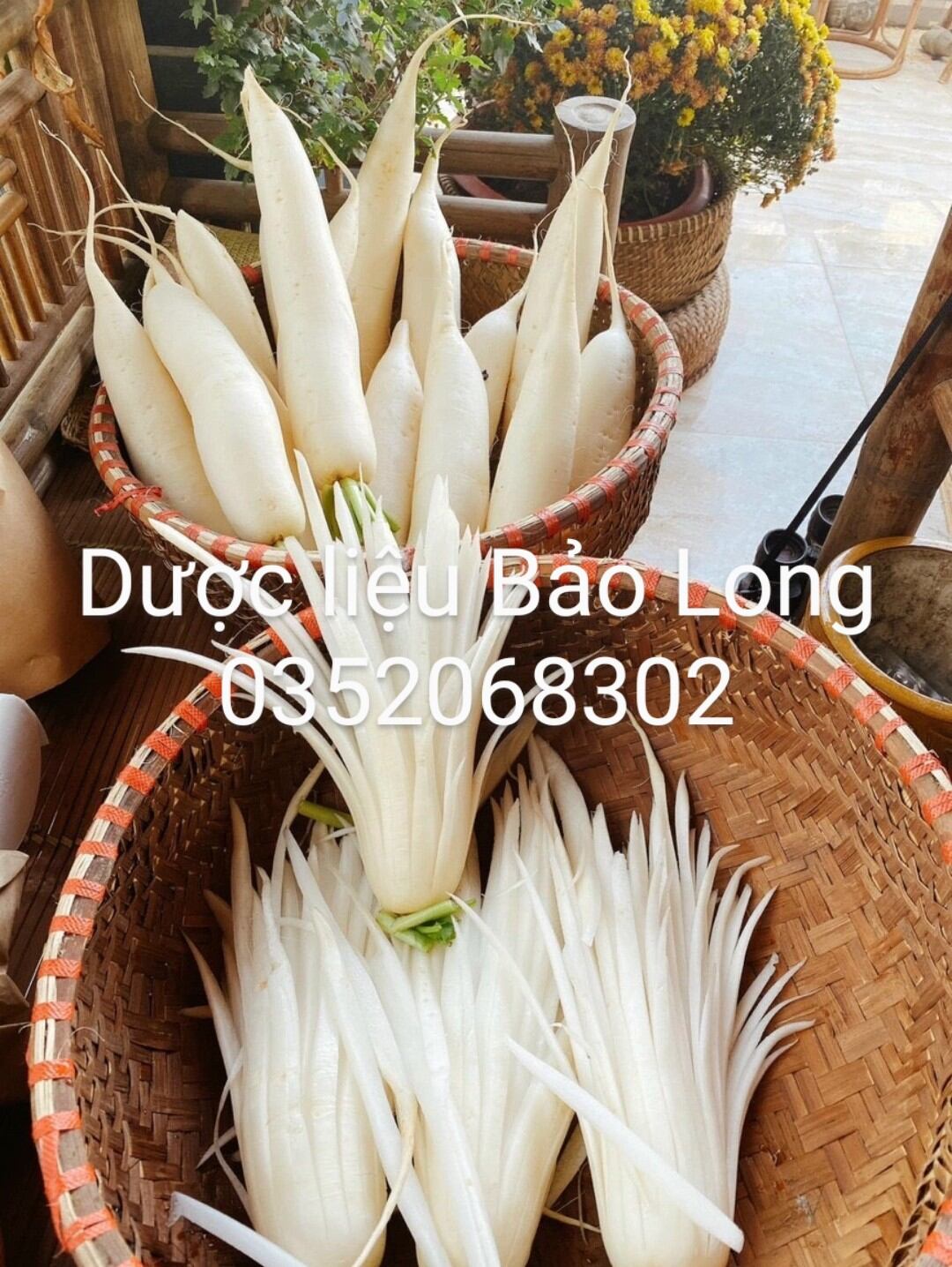 CỦ CẢI KHÔ