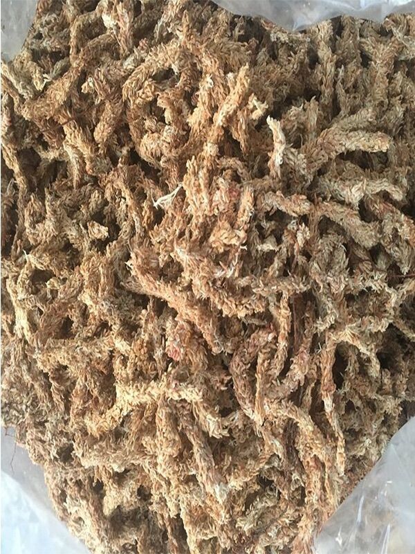 1kg rêu sâu câo cấp trồng lan