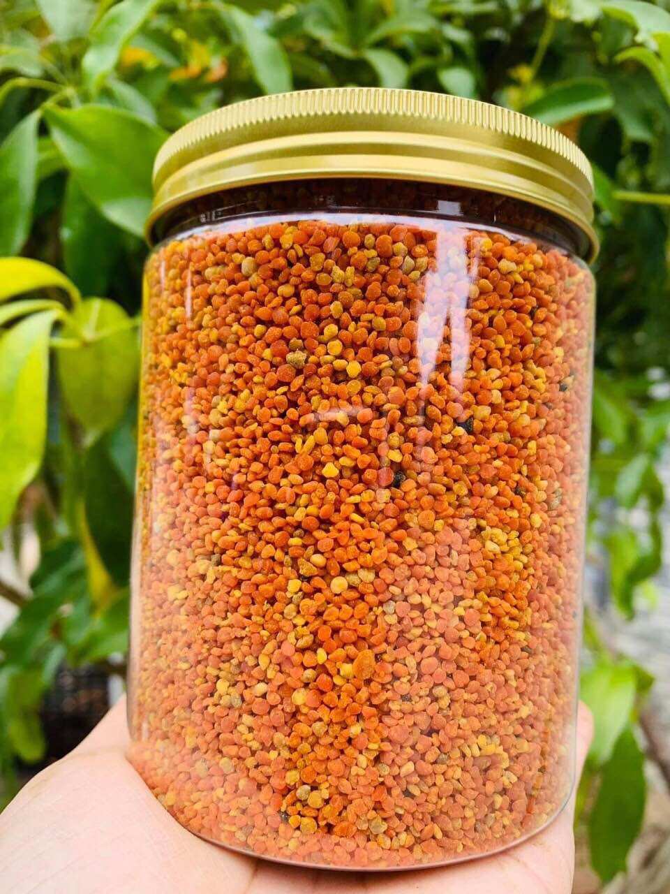 Phấn hoa mật ong rừng cực kì hiếm
