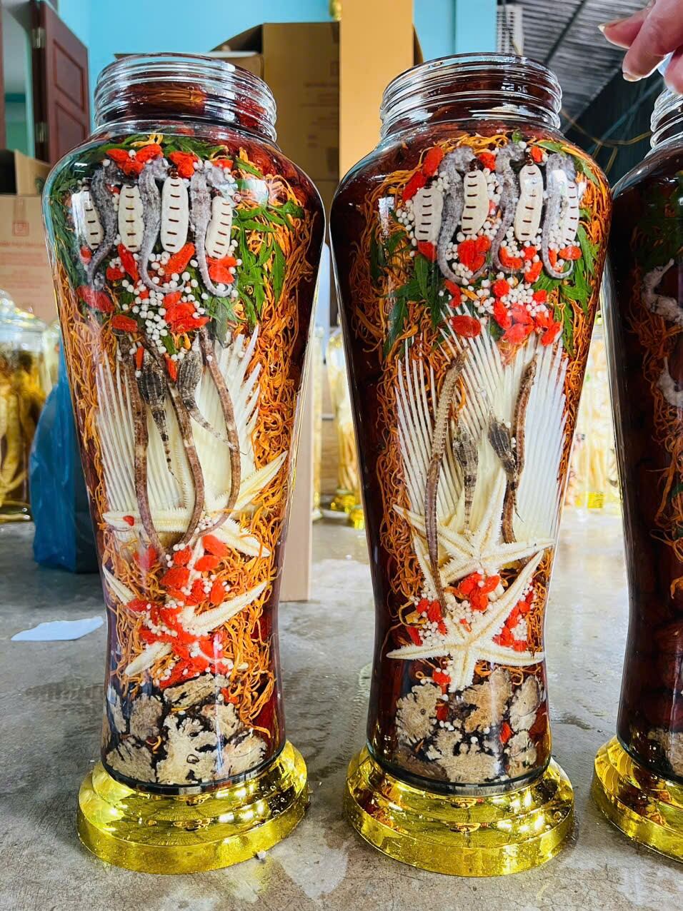 Cá ngựa mối chúa ngâm bình 7 lít ngâm kết hợp sao biển, vi cá, đẳng sâm, táo đỏ, kỷ tử, đông trùng