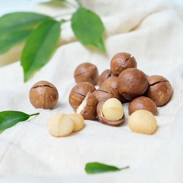 Hạt Macca nứt vỏ Đắk Lắk - 500gr