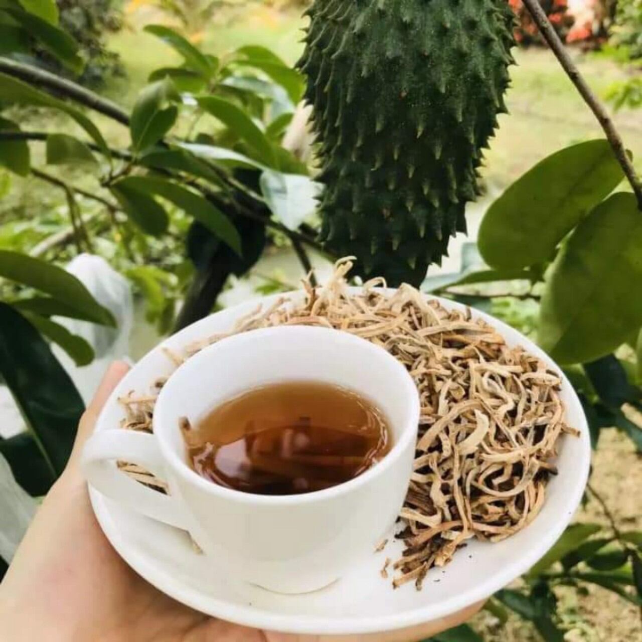 Trà mãng cầu. Combo 525k/2kg