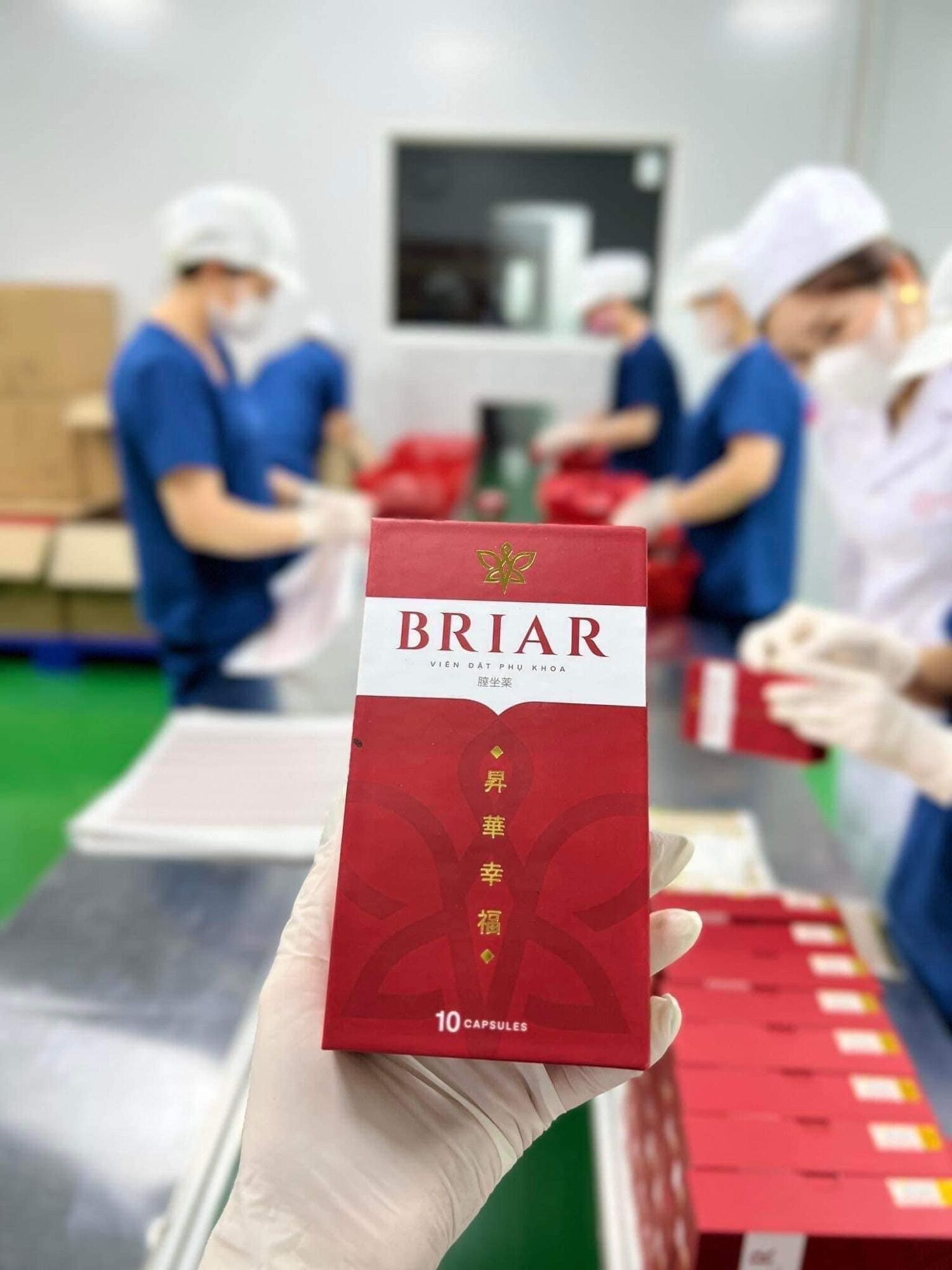 Viên Đặt thảo Mộc Briar Chính hãng