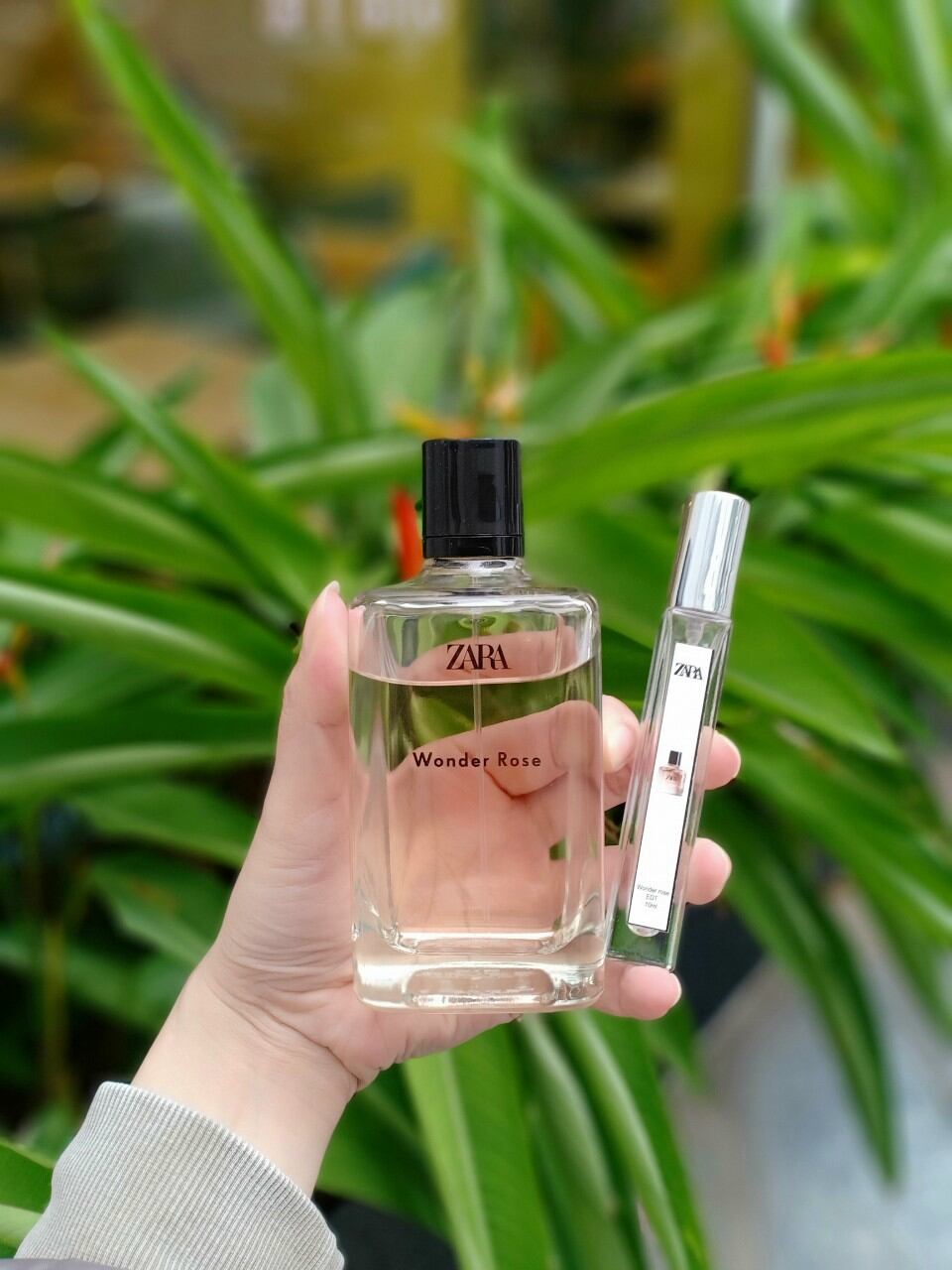 Intense Perfume Zara Wonder Rose Review Wonder Rose Zara Oriental