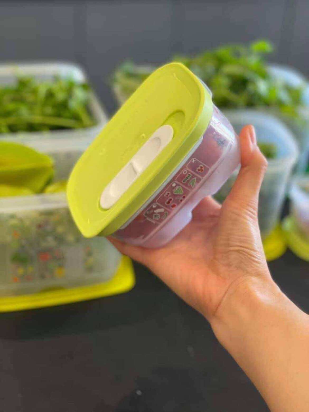Hộp trữ mát Vensmart 375ml Tupperware